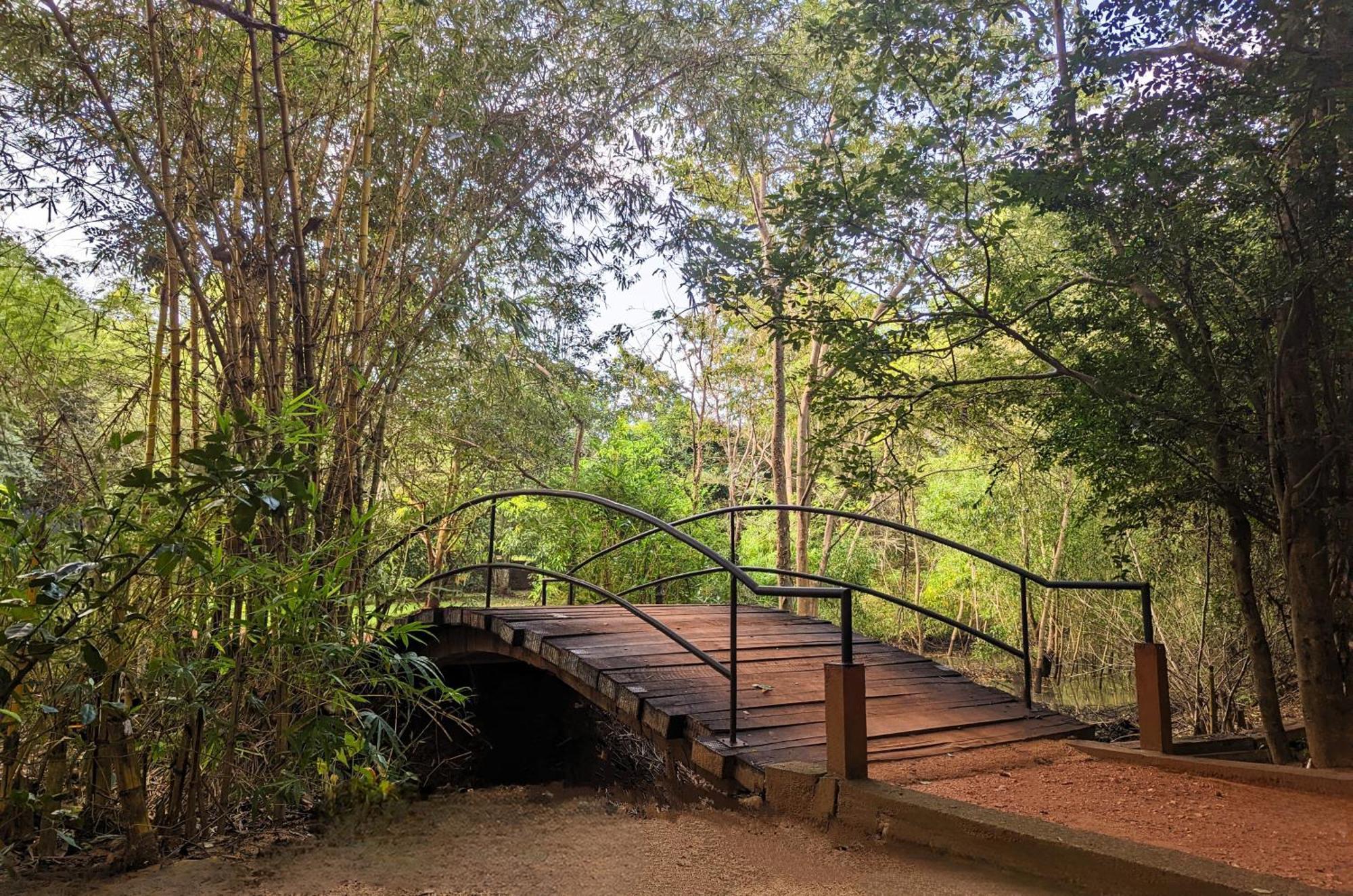 Pinthaliya Resort Sigiriya Dış mekan fotoğraf