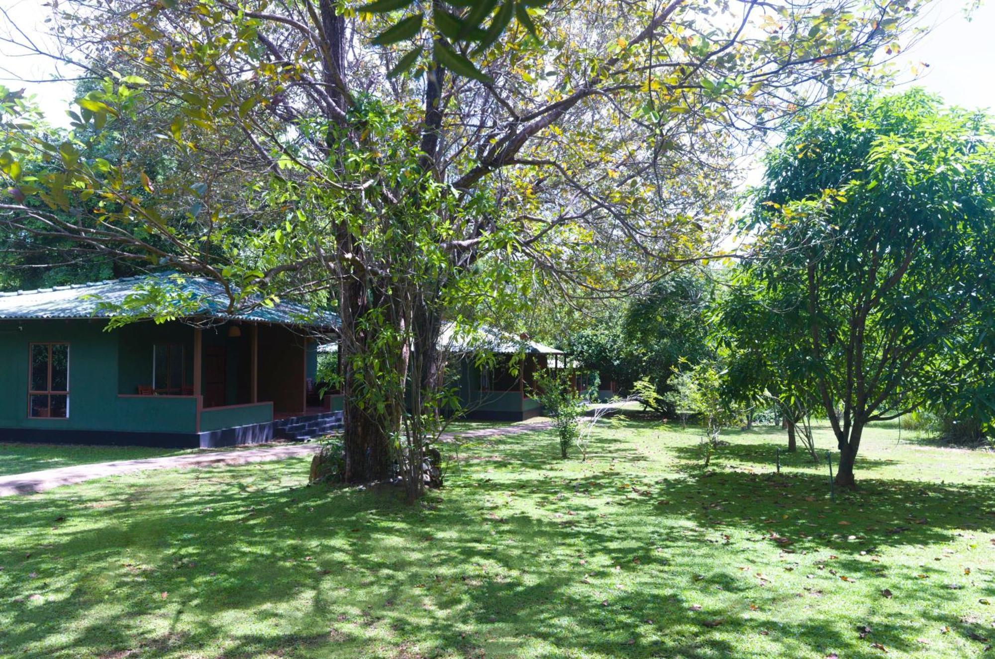 Pinthaliya Resort Sigiriya Dış mekan fotoğraf