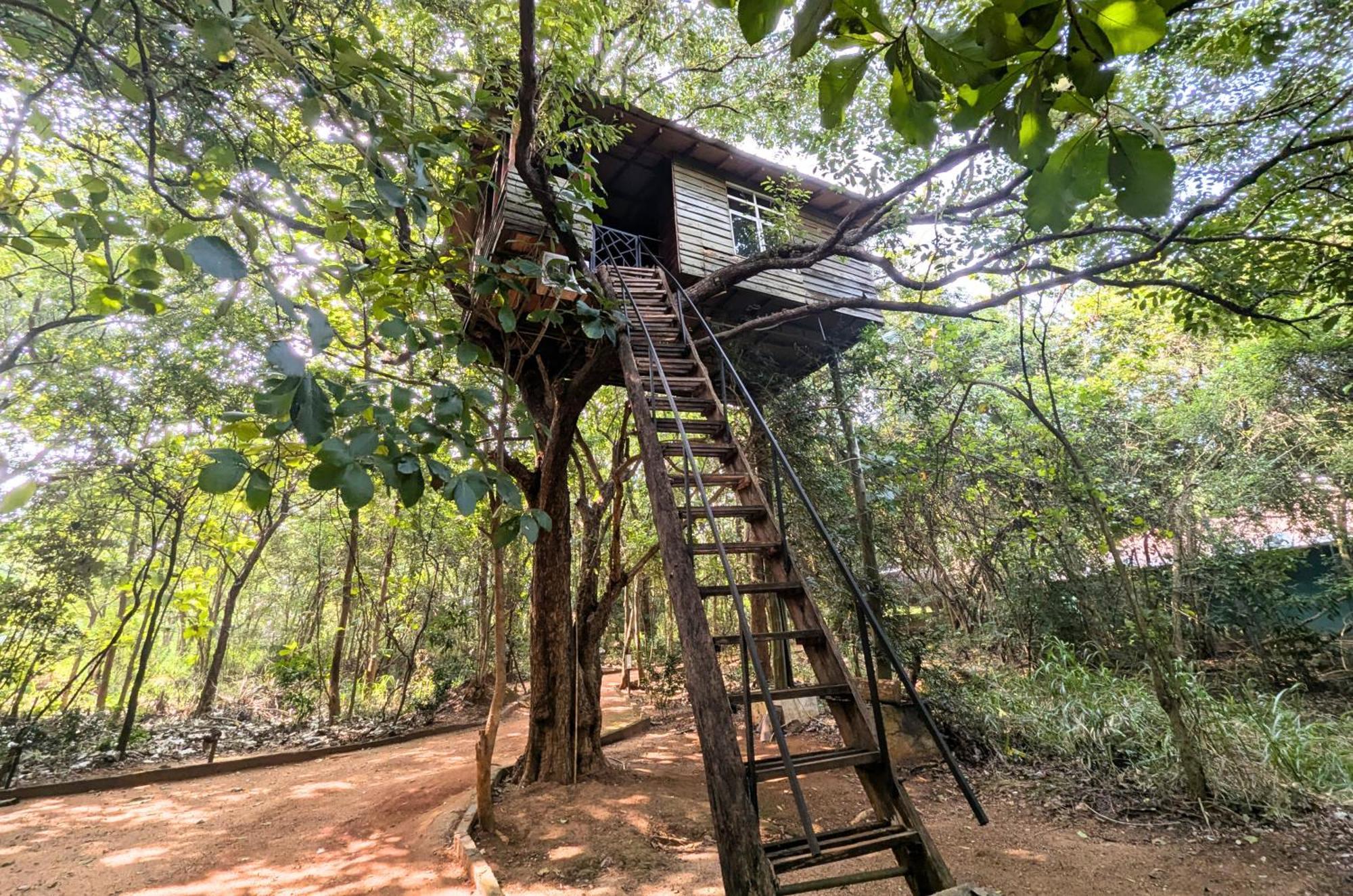 Pinthaliya Resort Sigiriya Dış mekan fotoğraf