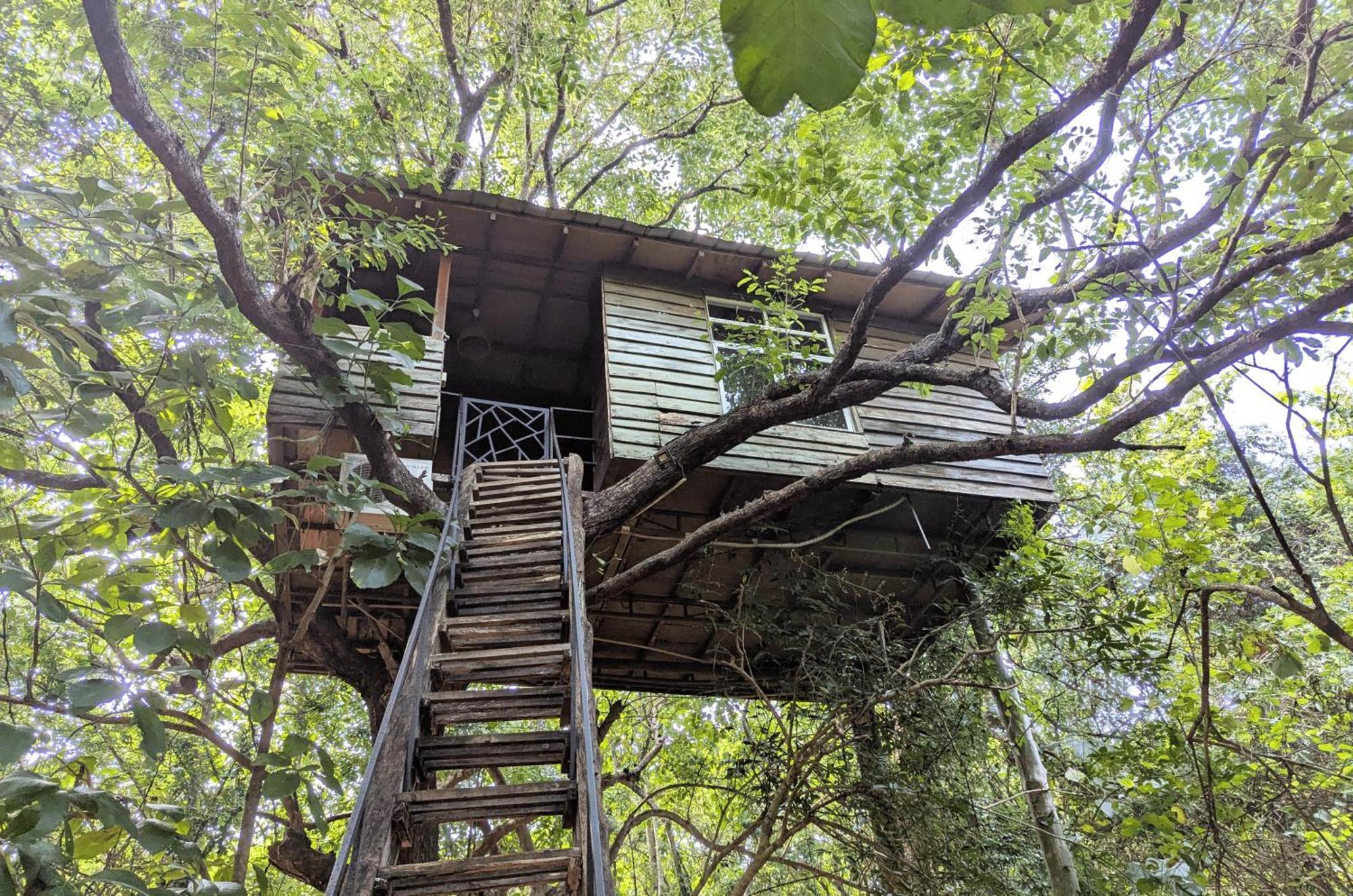 Pinthaliya Resort Sigiriya Dış mekan fotoğraf